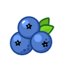 MIX BERRY